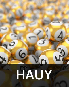 hauy